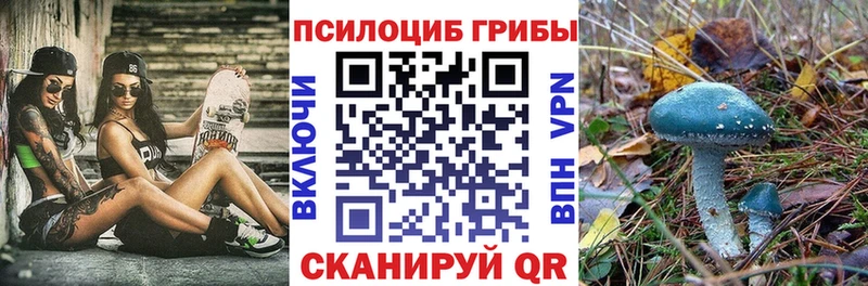 кракен tor  Нестеровская  Галлюциногенные грибы Psilocybe 